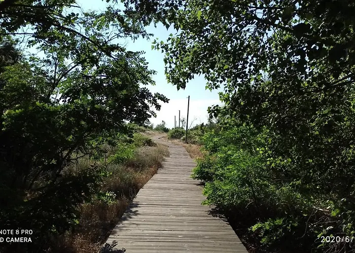 Διαμέρισμα River Park Σάνι Μπιτς