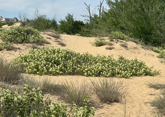 River Park * Σάνι Μπιτς