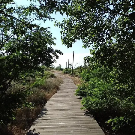 公寓 River Park 阳光海滩