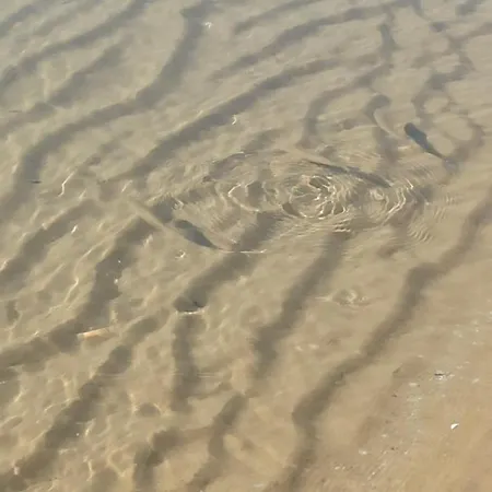 River Park דירה סאני ביץ'