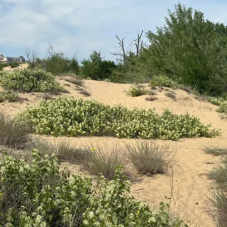 River Park * Slăntjev Brjag