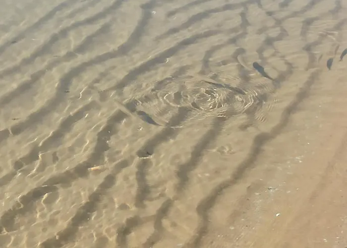 River Park Lägenhet Slăntjev Brjag